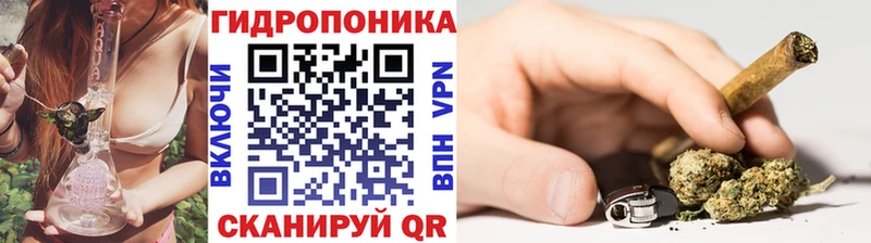 Марихуана сатива  Купить где  Энем 